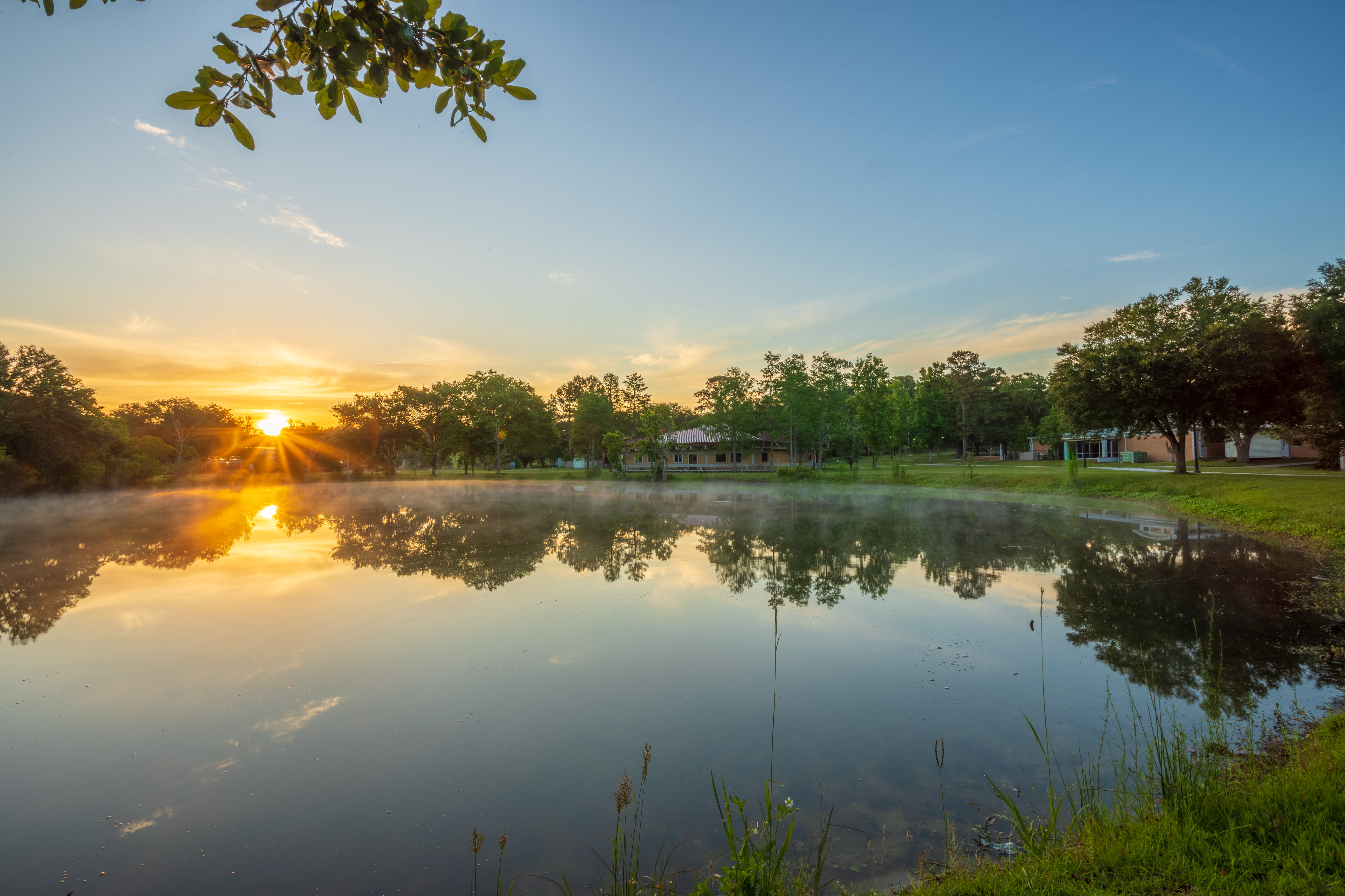 Campus Pond